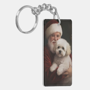 Bichon Frise med tomte festlig jul