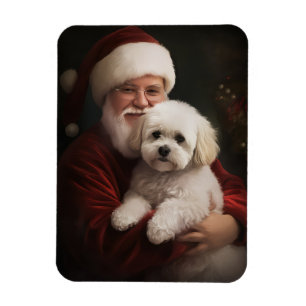 Bichon Frise med Tomte Julfirande Jul Magnet