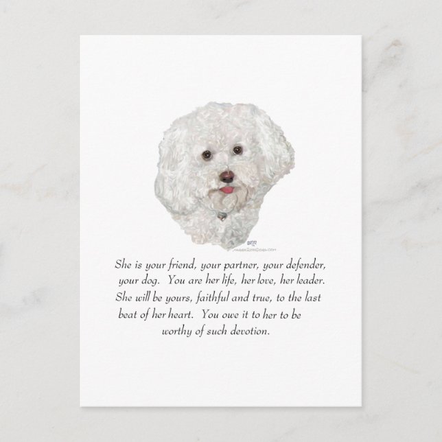 Bichon Frise Minnesgåva HONHUND Vykort (Framsida)