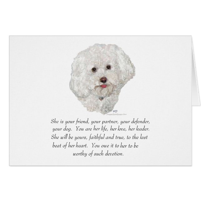 Bichon Frise Minnesgåva HONKVINNA Hälsningskort (Framsidan Horizontal)