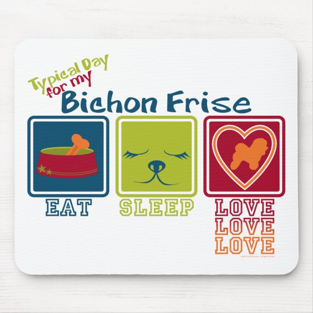 Bichon Frise Musmatta (Framsidan)