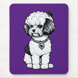 Bichon Frise Musmatta