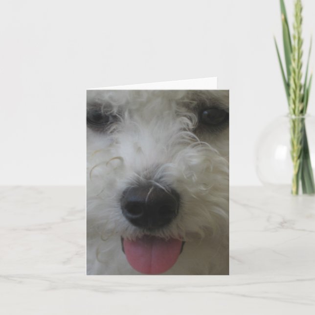 Bichon Frise - Notecard Kort (Framsida)