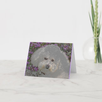 Bichon Frise Notecard Kort