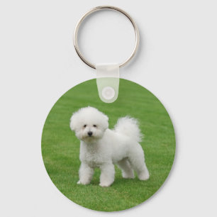 Bichon Frise Nyckelring