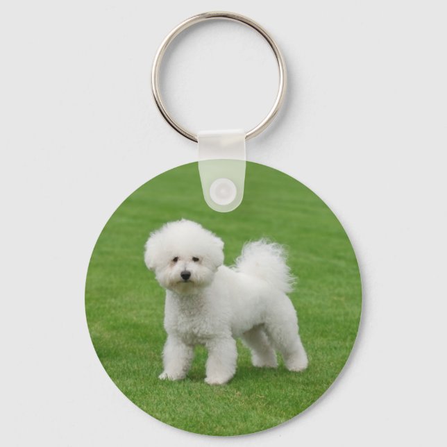 Bichon Frise Nyckelring (Framsida)