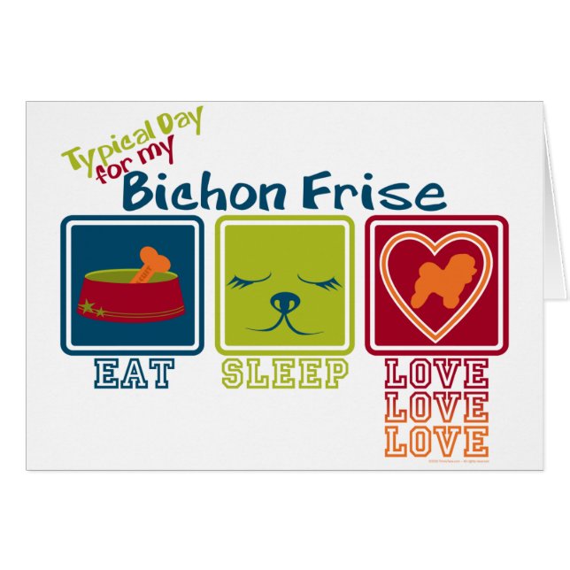 Bichon Frise OBS Kort (Framsidan Horizontal)