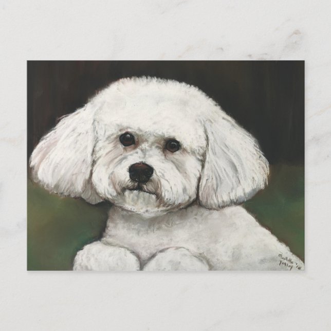 Bichon Frise Original Hund Art-vykort Vykort (Framsida)