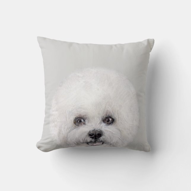 Bichon Frise, original vid miart Kudde (Framsida)