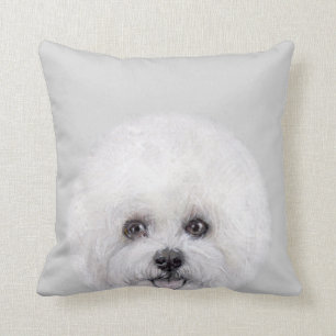 Bichon Frise, original vid miart Kudde