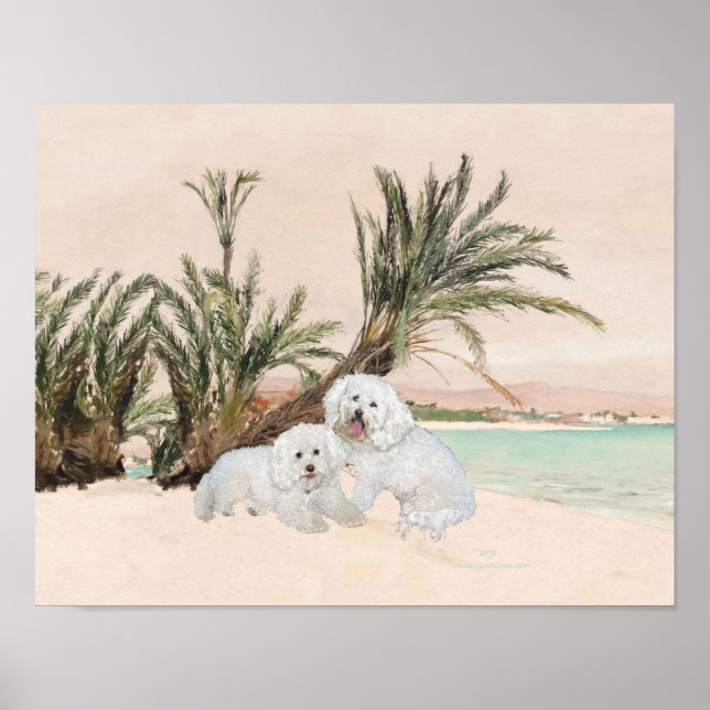 Bichon Frise Palmy Beach Poster (Framsidan)