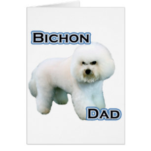 Bichon Frise Pappa 4 Hälsningskort