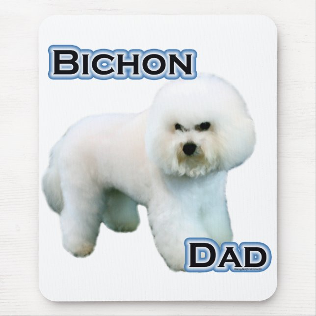 Bichon Frise Pappa 4 Musmatta (Framsidan)