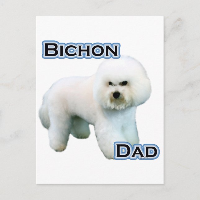 Bichon Frise Pappa 4 Vykort (Framsida)