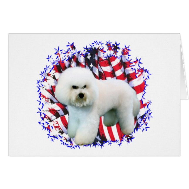 Bichon Frise Patriot Hälsningskort (Framsidan Horizontal)