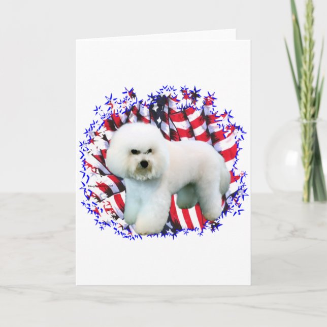 Bichon Frise Patriot Kort (Framsida)