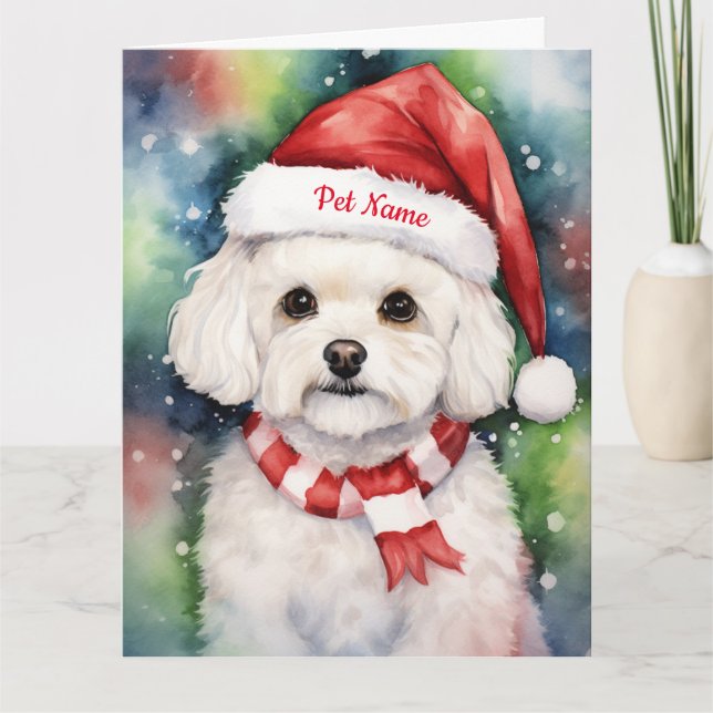 Bichon Frise-Personligen Kort (Framsida)