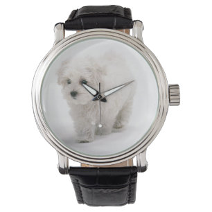 Bichon Frise Photo Armbandsur