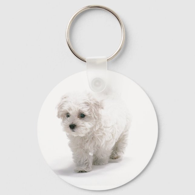 Bichon Frise Photo Keychain Nyckelring (Framsida)