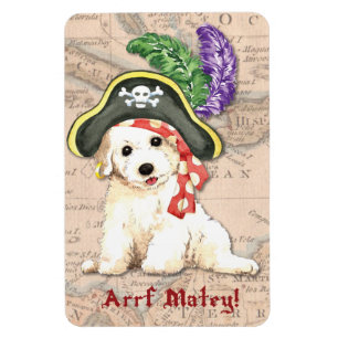 Bichon Frise Pirat Magnet