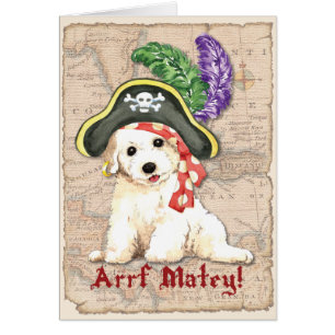 Bichon Frise piratkort Hälsningskort