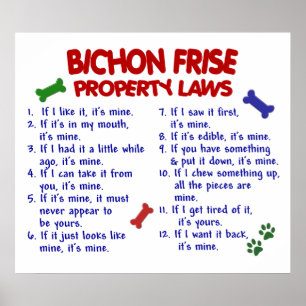 BICHON-FRISE PL2 POSTER