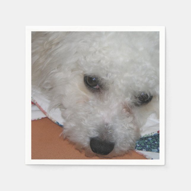 Bichon Frisé.png Pappersservett (Framsidan)