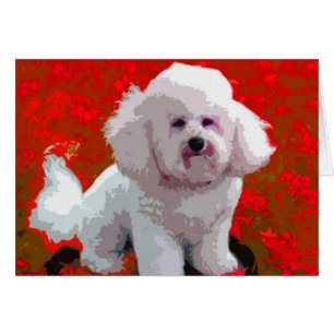 Bichon Frise Pop Art Cards Hälsningskort