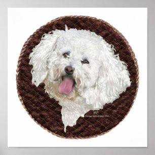 Bichon Frise Porträtt Poster