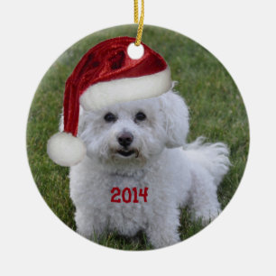 Bichon Frise prydnad 2014 Julgransprydnad Keramik