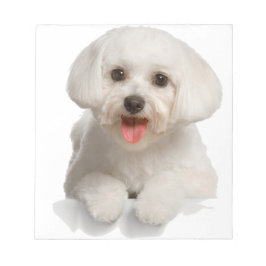Bichon Frise Puppy Anteckningsblock