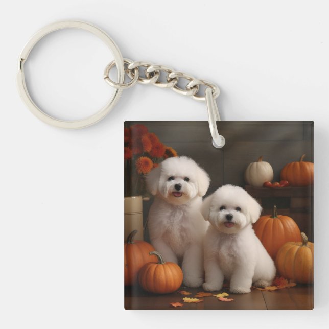 Bichon Frise Puppy Autumn Delight Pumpkin (Framsidan)