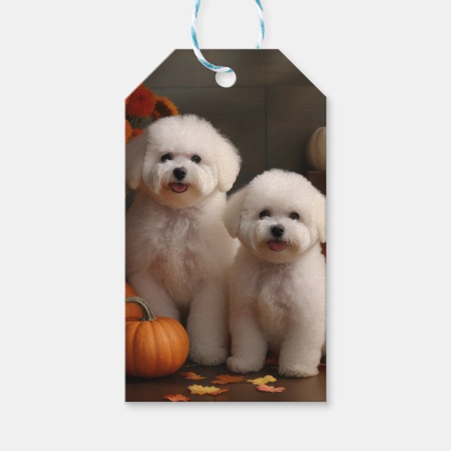 Bichon Frise Puppy Autumn Delight Pumpkin Presentetikett (Framsidan)