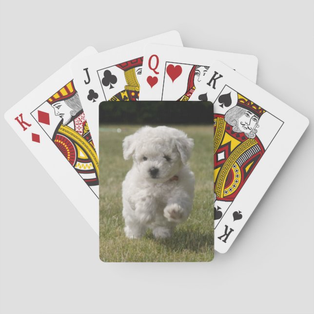 Bichon Frise Puppy Hund-betalkort Spel Kort (Baksidan)