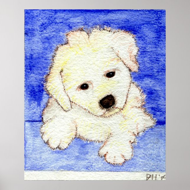 Bichon Frise Puppy Hund Porträtt Poster (Framsidan)