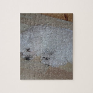 Bichon_Frise_puppy_sleeping Pussel