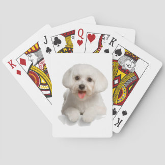 Bichon Frise Puppy Spel Kort