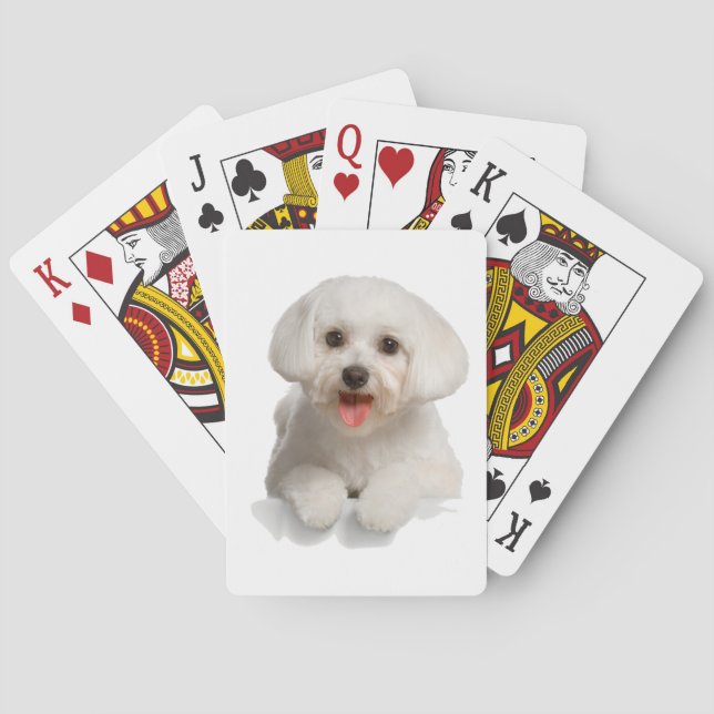 Bichon Frise Puppy Spel Kort (Baksidan)