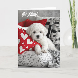 Bichon Frise Puppy Valentine Card Tack Kort