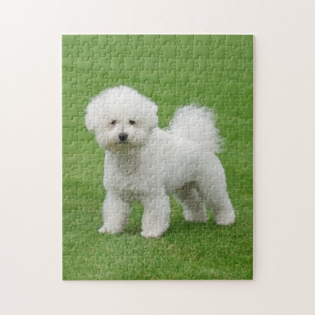 Bichon Frise Pussel (Vertikal)