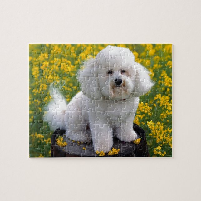 Bichon Frise Pussel (Horisontell)
