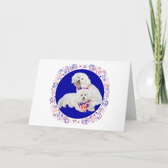 Bichon Frise Röd Vit Blå Kort (Framsida)
