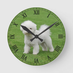 Bichon Frise Rund Klocka