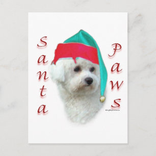 Bichon Frise Santa Tassar Helg Vykort