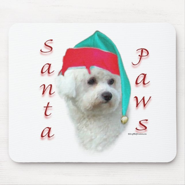 Bichon Frise Santa Tassar Musmatta (Framsidan)