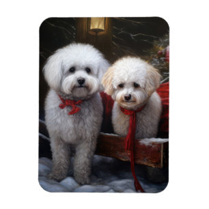 Bichon Frise Snowy Sleigh-juldekretet Magnet