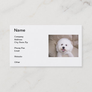 Bichon Frise som ler visitkorten Visitkort
