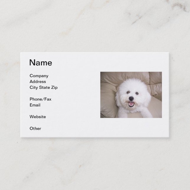 Bichon Frise som ler visitkorten Visitkort (Framsida)