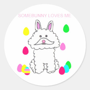Bichon Frise Sombunny Kärlek Me Runt Klistermärke