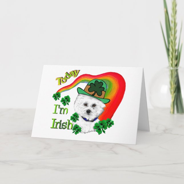 Bichon Frise St Patrick dag Kort (Framsida)